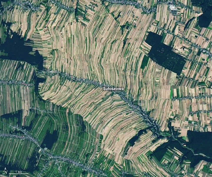 GeoGovern