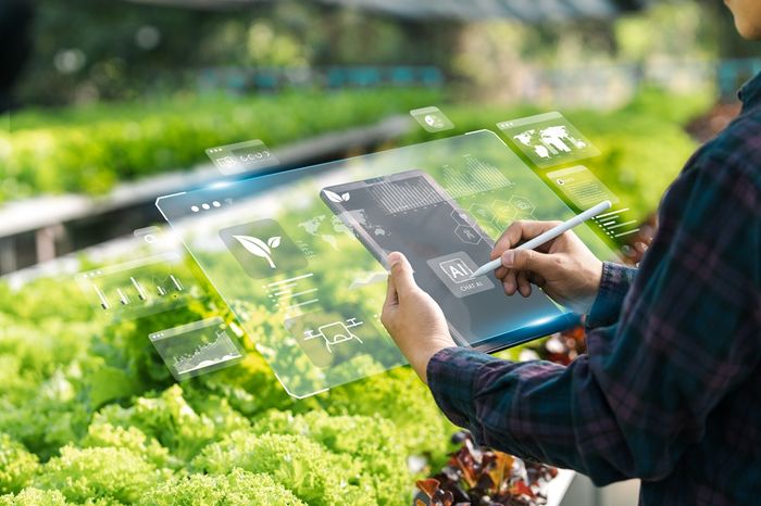 Tecnologia de jardim inteligente com tablet controlando irrigação e corte de grama via app