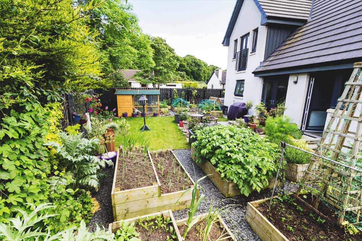 Urban, Suburban, and Rural Homesteading: Which Type Is Right for You