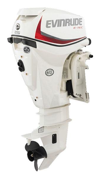 Evinrude E-TEC 25 HP (E25DRS), Roscoe IL | New Boat Engines for Sale: Specs, Price | White