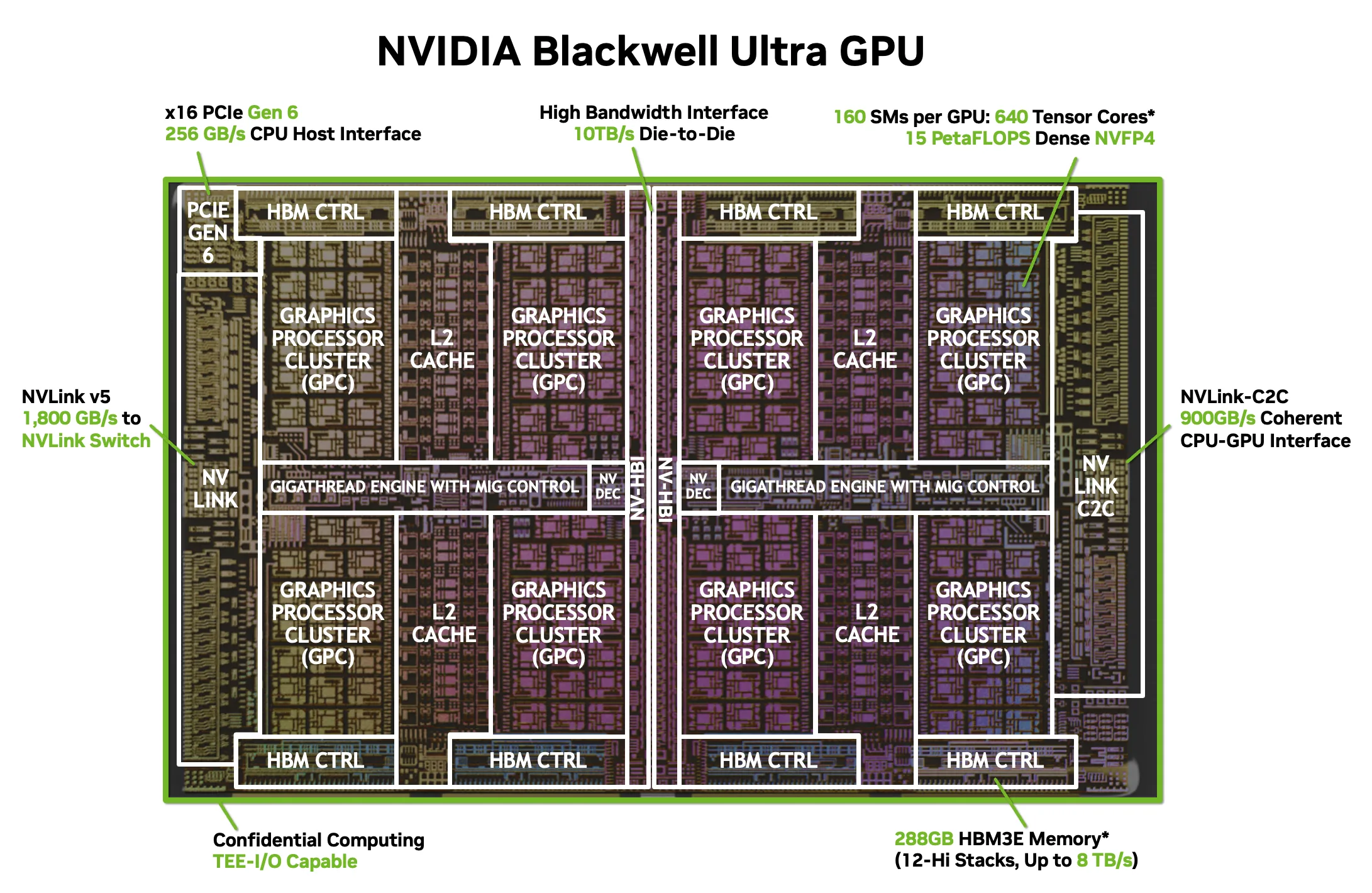 NVIDIA GPU