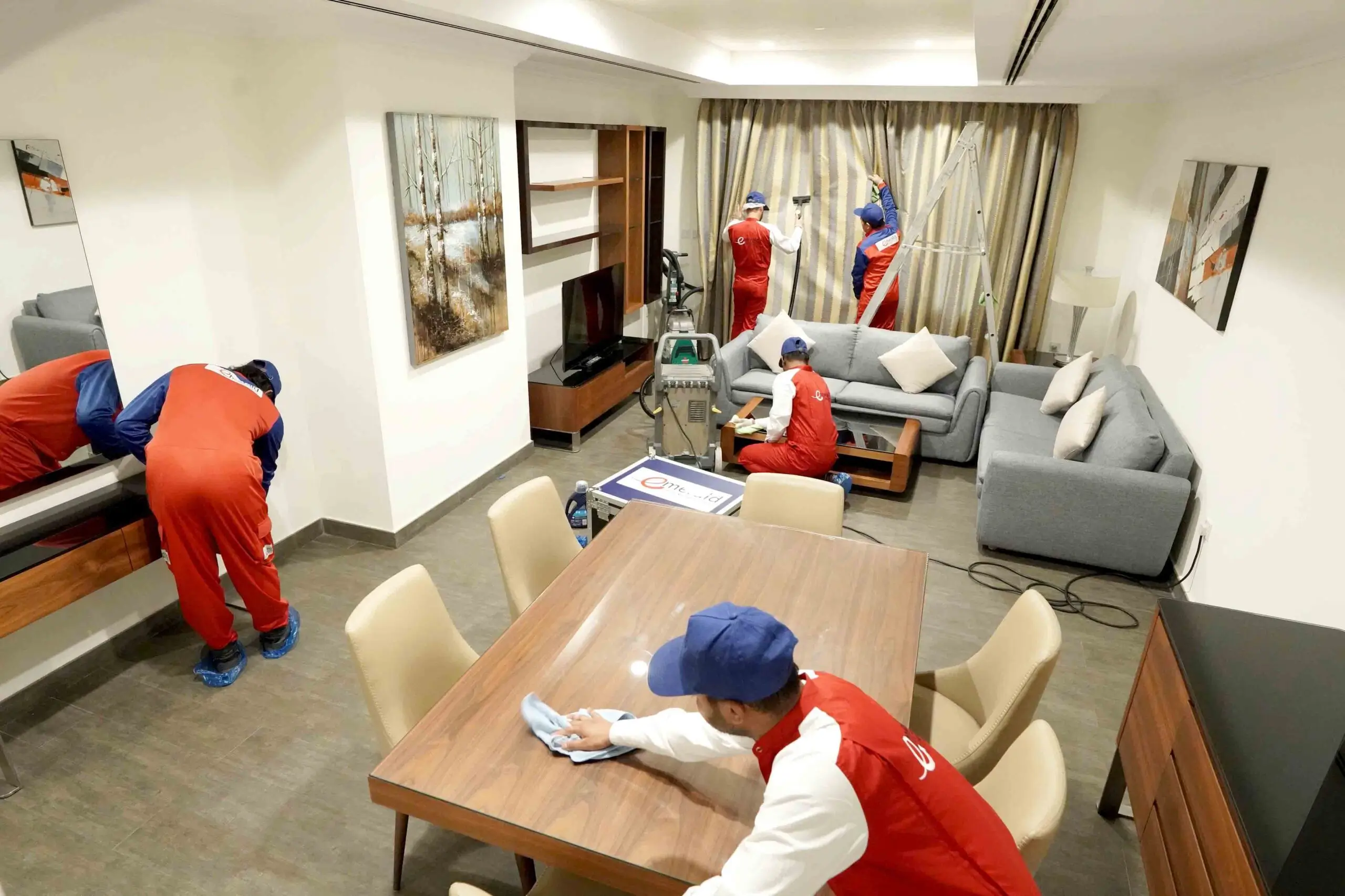 Professional deep cleaning service