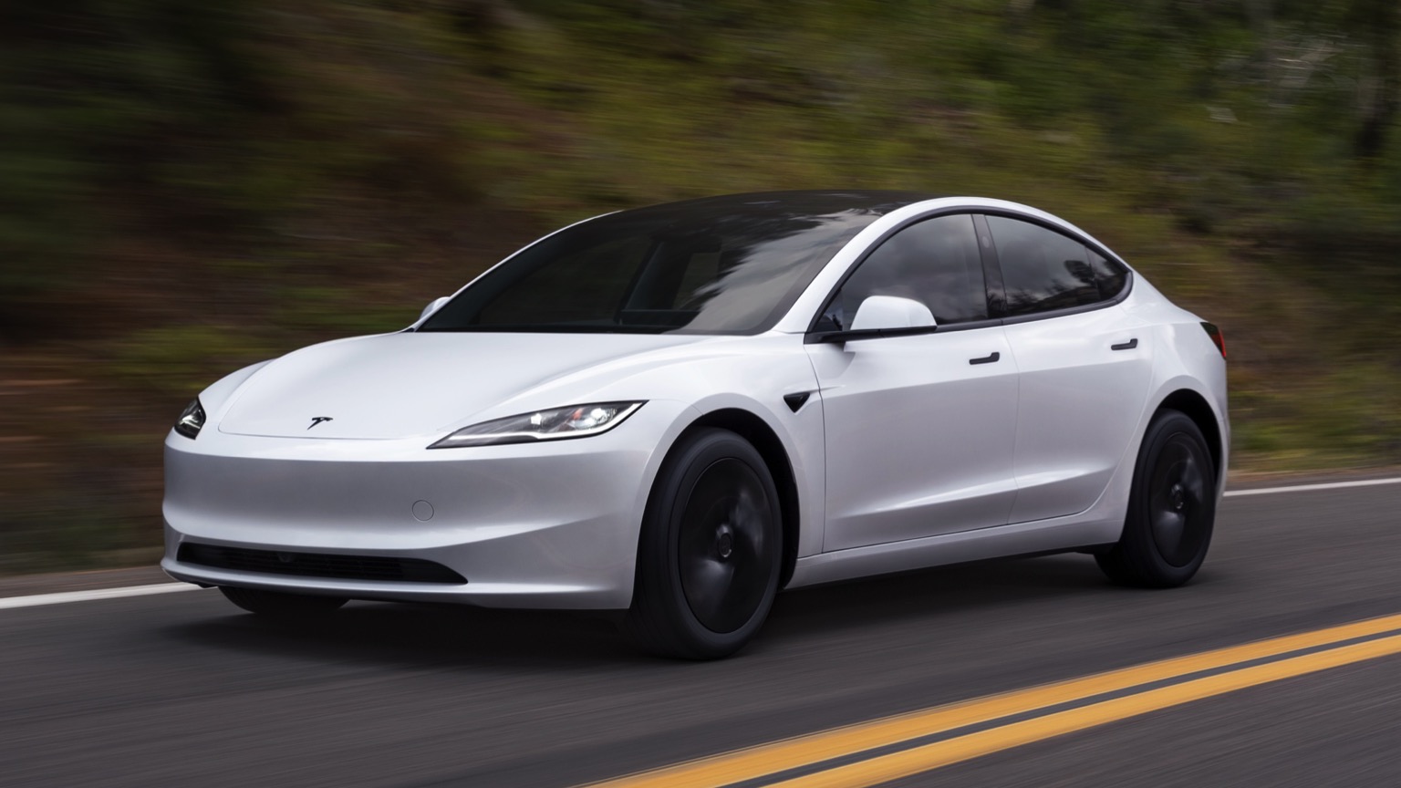 Tesla Model 3 Program
