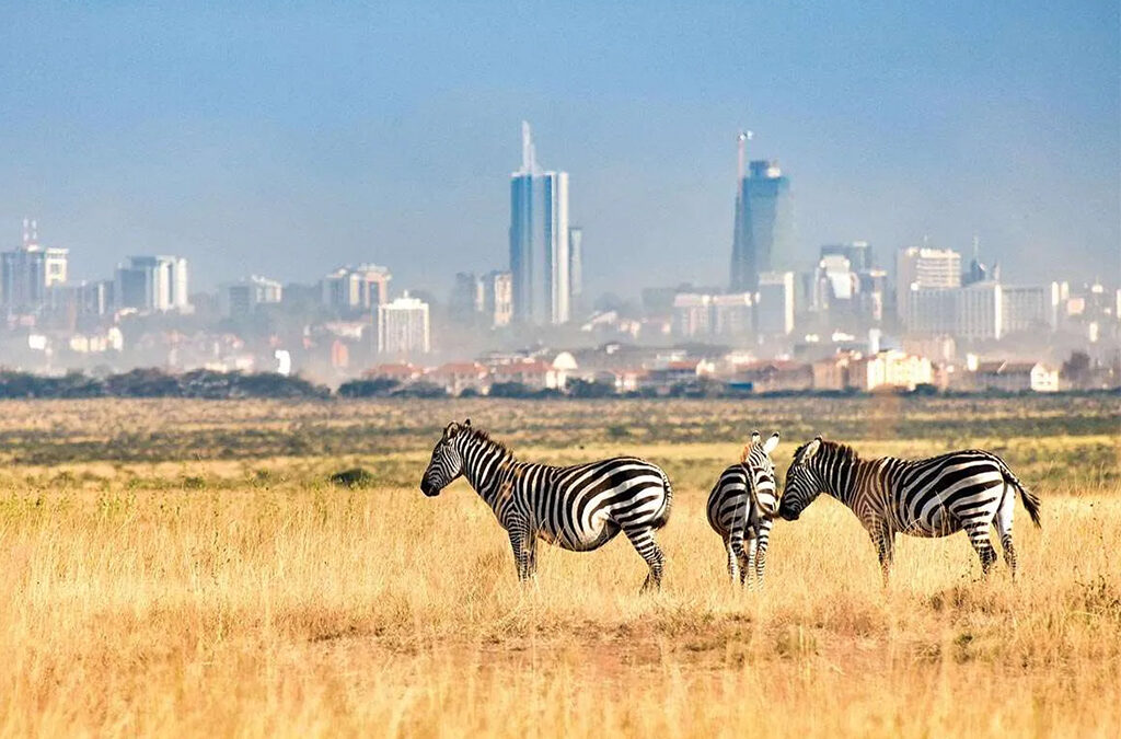 Nairobi National Park