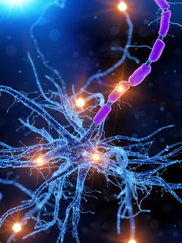 Neurônios humanos em microscopia eletrônica mostrando sinapses e extensões axonais