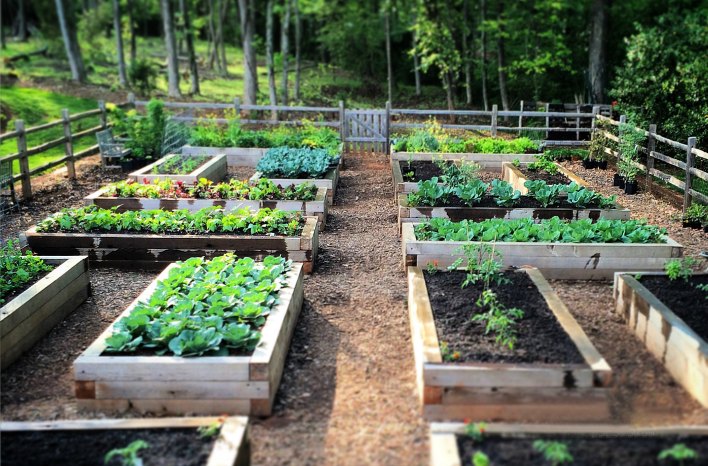 Raised Bed Garden from A - Z | What to Know | joegardener®