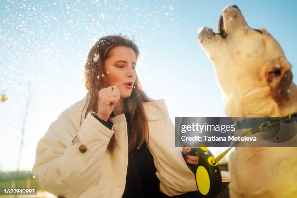 555 Barking Dog Owner Stock Photos and High-Res Images - Getty Images