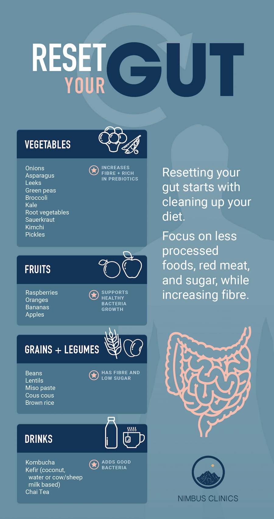 Digestion saine