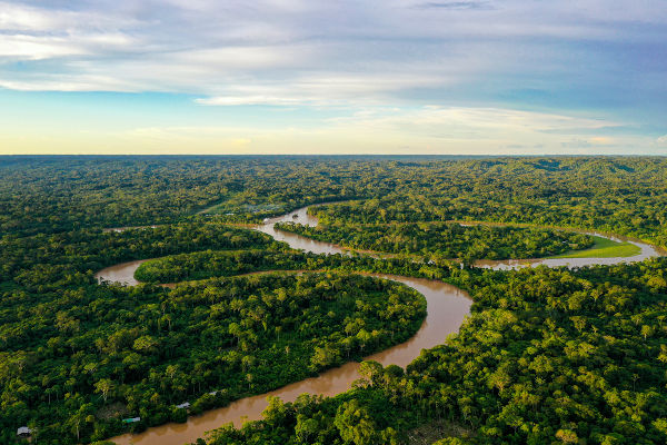 Vista aérea da Floresta Amazônica com rio serpenteando entre árvores