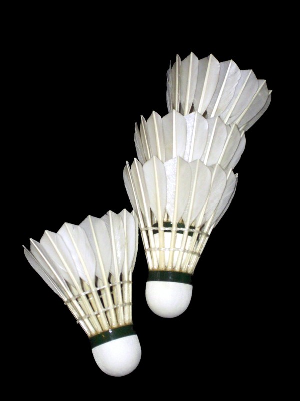 Feathered shuttlecocks