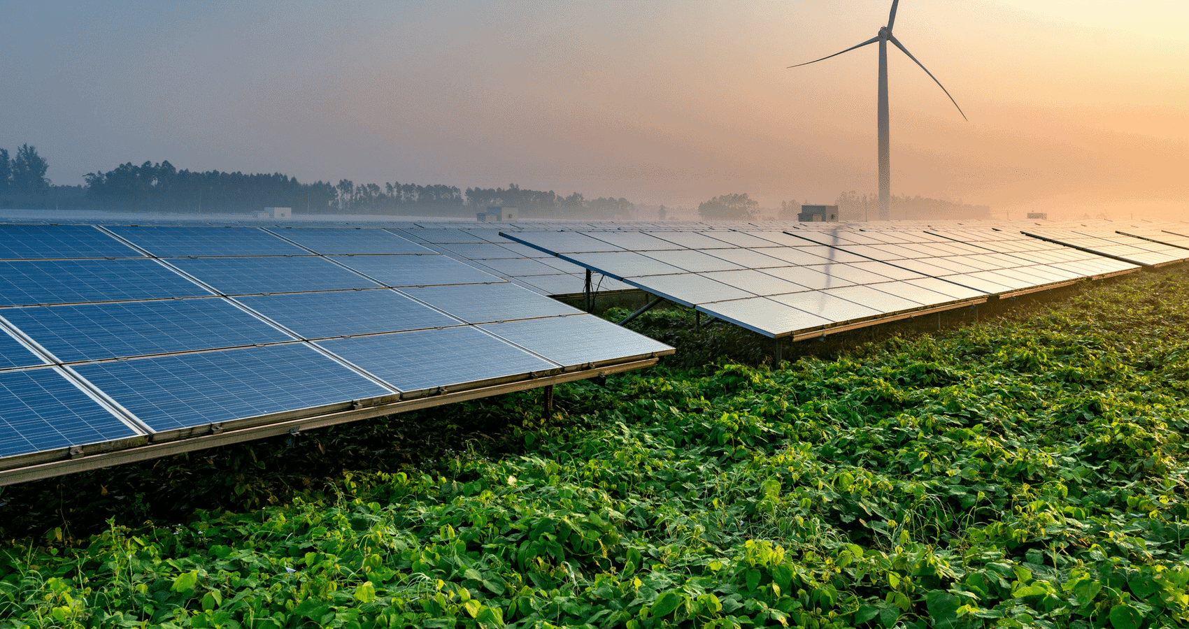 Renewable Energy Solutions