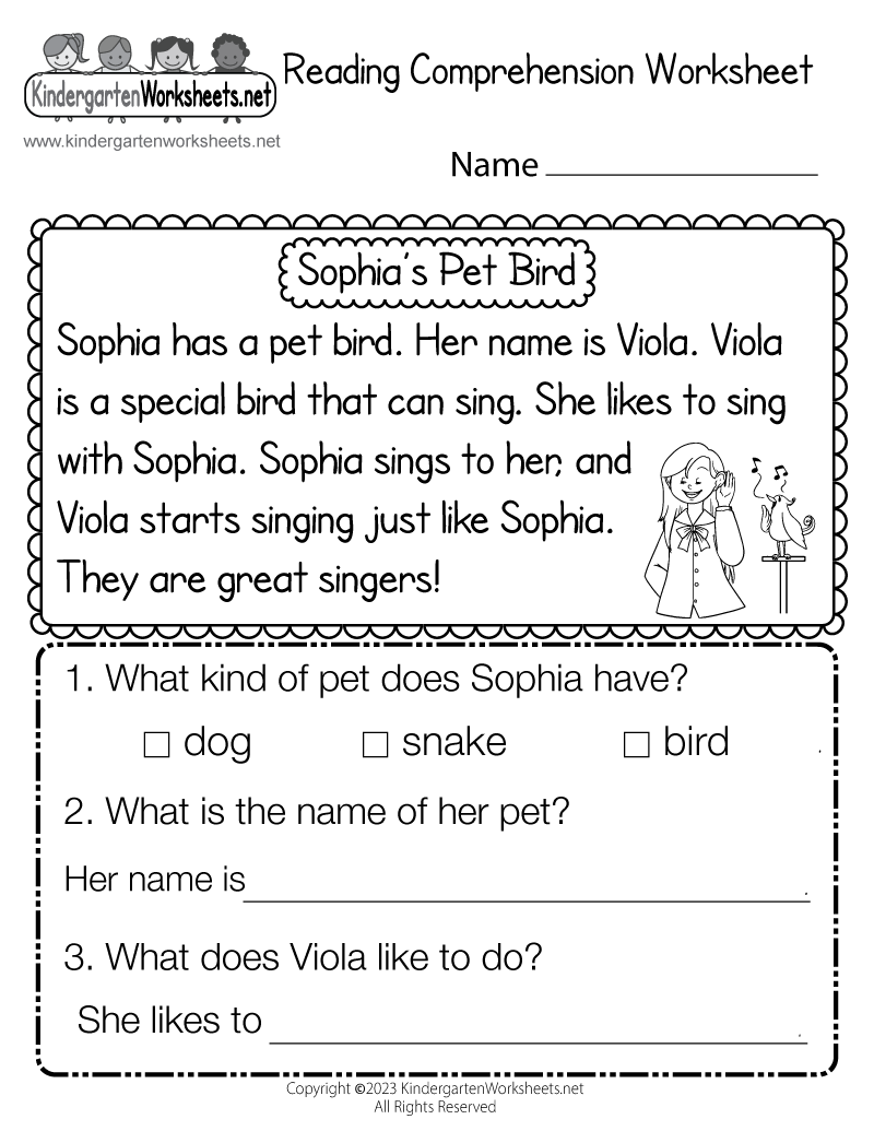 Reading comprehension worksheet