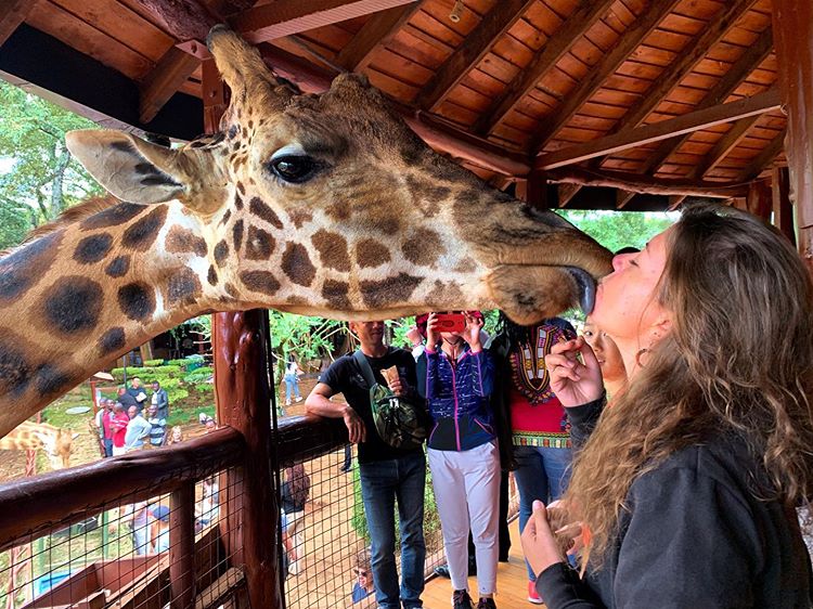 Giraffe Centre Nairobi