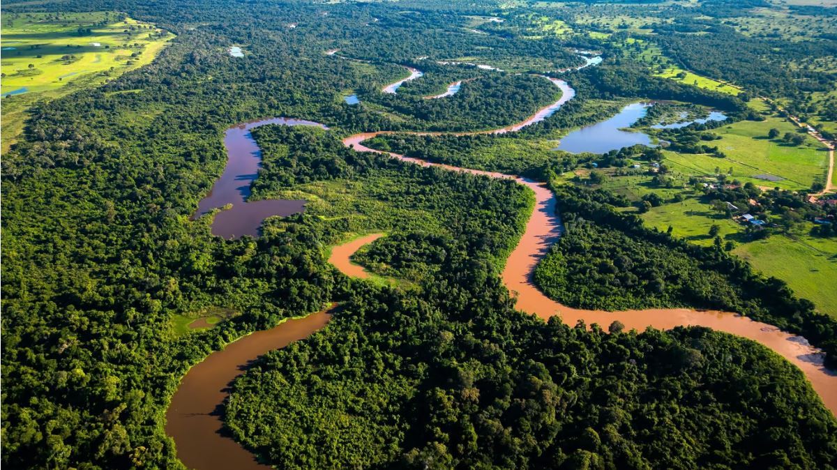 Vista aérea de unidade de conservação com rios na floresta amazônica