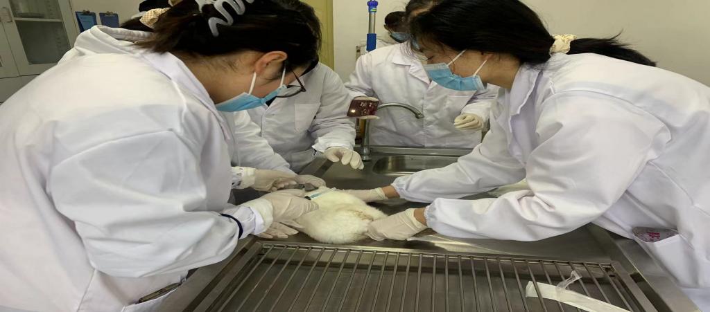 2023-2024学年第一学期《动物解剖生理》课程教学实习圆满结束-动物科技学院